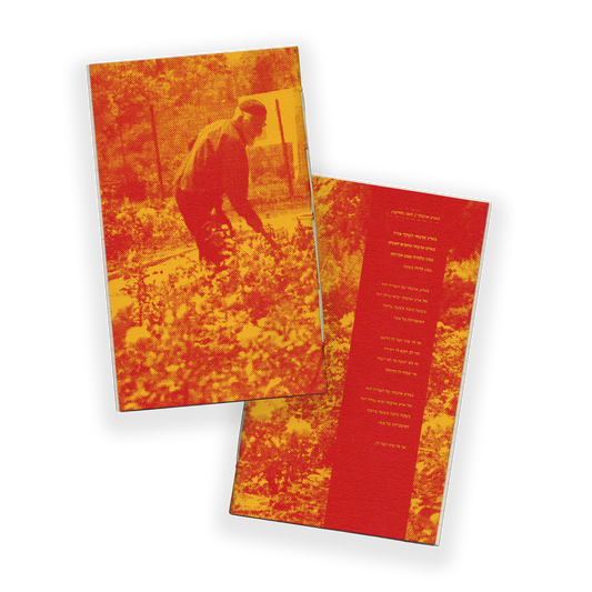 Hebrew Literature B6 Notebook