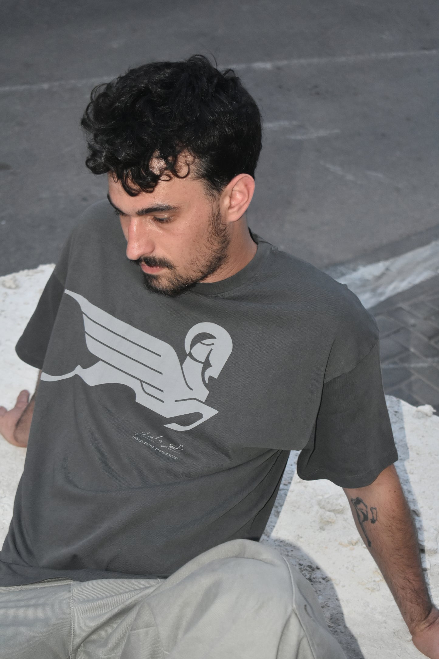 Sphinx Express T-Shirt